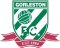 Gorleston badge