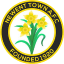 Newent Town badge